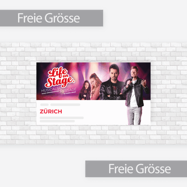 PVC-Plane - LoS Zürich (freie Grösse)